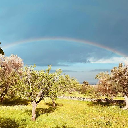 Villa La Perla Di Torre Guaceto Serranova Esterno foto