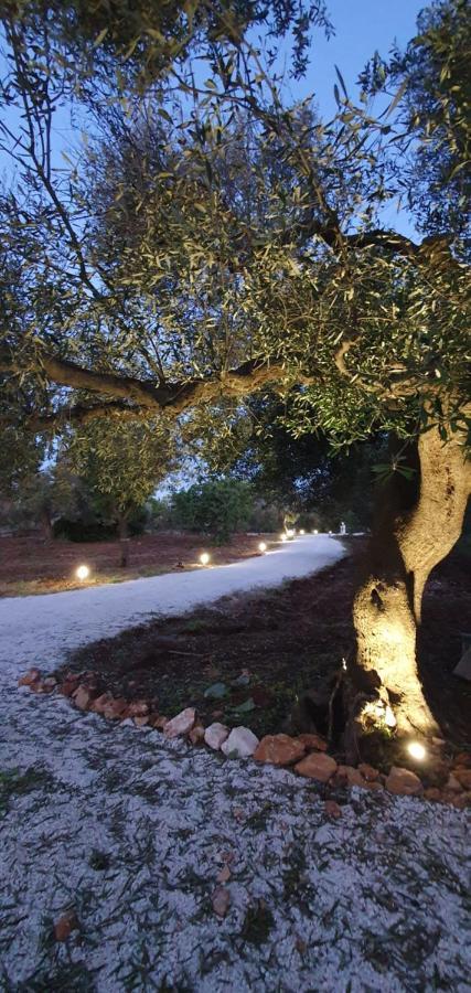 Villa La Perla Di Torre Guaceto Serranova Esterno foto