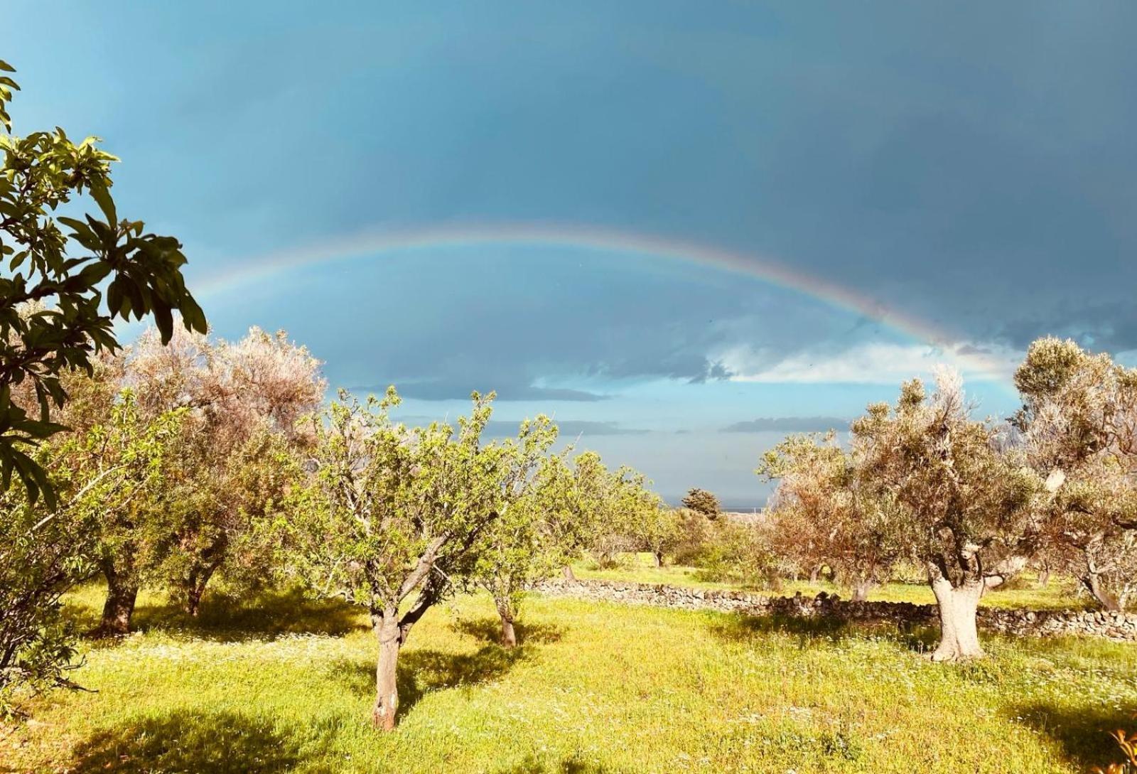 Villa La Perla Di Torre Guaceto Serranova Esterno foto